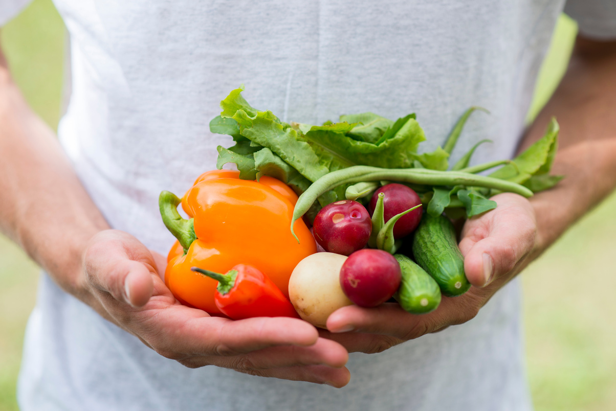 Fresh Food